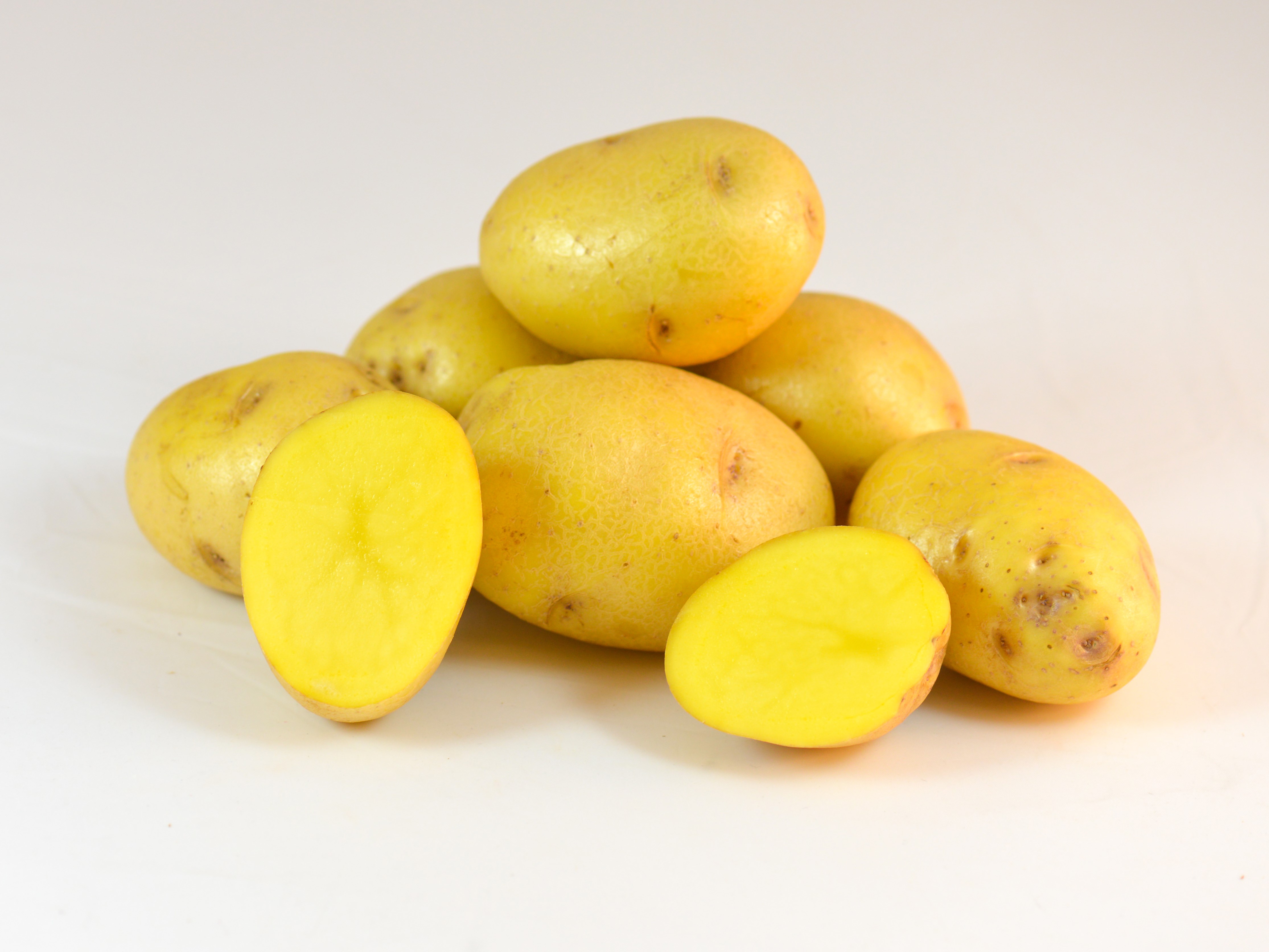 Fontane Potato Seed Variety Sunrain Potato Varieties